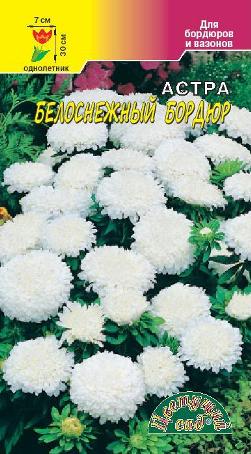 Астра Бордюр Белоснежный