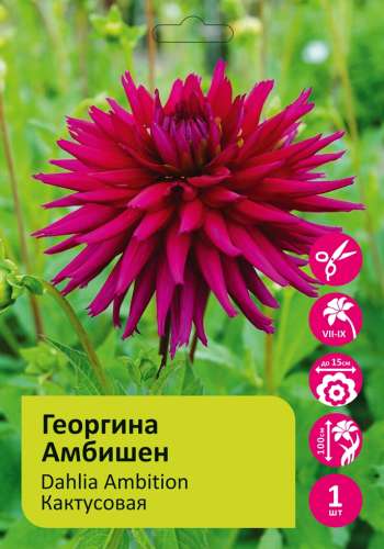 Набор ручек шариковых 4 шт АССОРТИ 598921