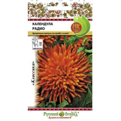 Календула Радио