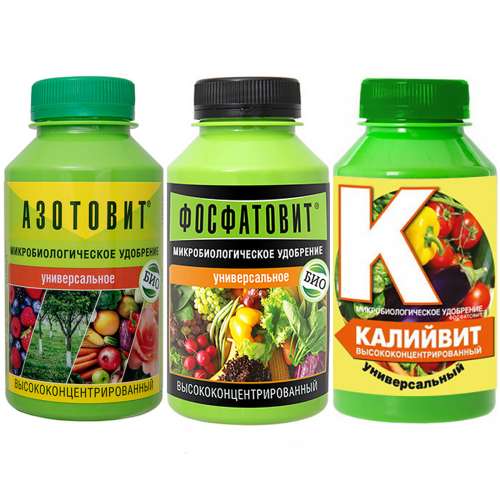 Калийная селитра 0,5л удоб