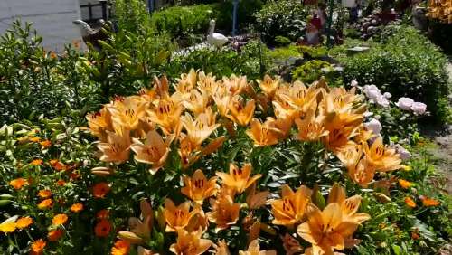 Кашпо подвесное пластик 2,5л "Мирабель" коричневый к9203