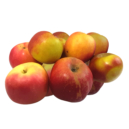 Клей от грызунов АЛТ 135гр