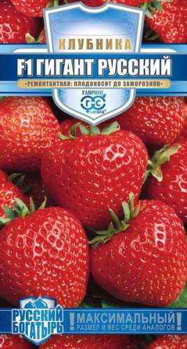 Клубника Гигант русский 