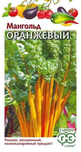 Мангольд Доктор 2гр