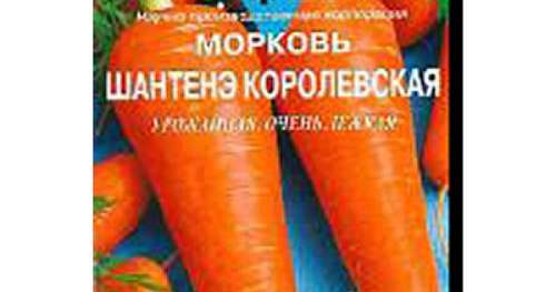 Морковь Шантане королевская Ц Агрико 100 др