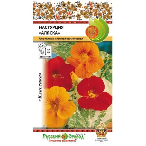 Настурция Аляска