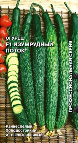 Огурец Изумрудный поток F1 0,2гр