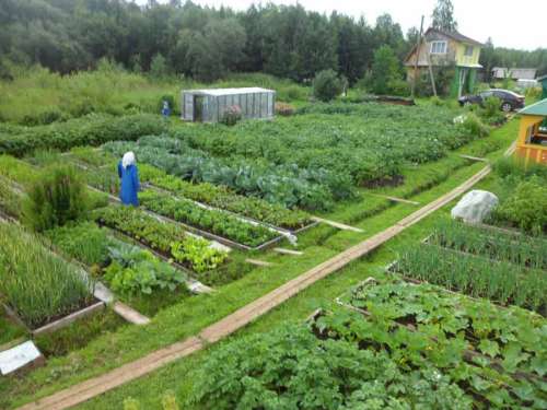 Пакеты  запекания 300х400мм 12мкм с завязками "Крепак" п5965