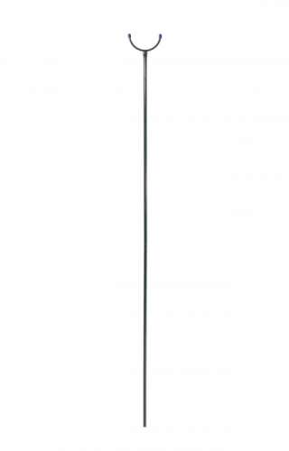 Подсолнечник Битюг 10гр