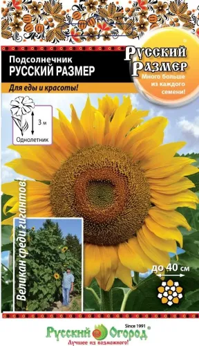 Подсолнечник Покровский 5гр