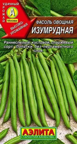 Фасоль Герцогиня 5шт