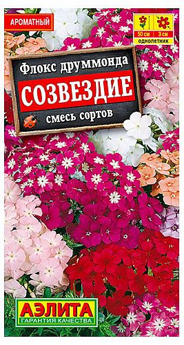 Флокс Европа ВС