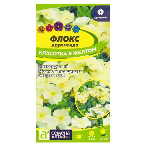Флокс Красотка в желтом