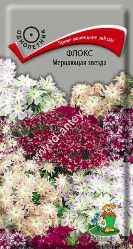 Флокс Мерцающая звезда 0,2гр
