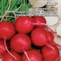 Редис Детский 1гр