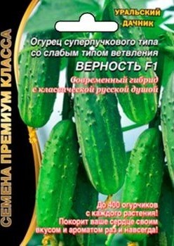 Огурец Мурашка 10шт