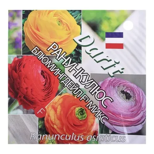 Ранункулюс Азиатский микс