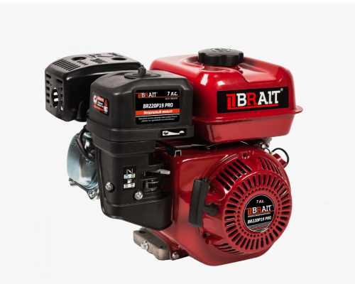 Двигатель BRAIT BR220P19 PRO