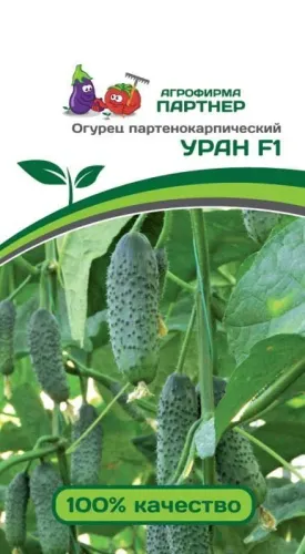 Огурец Уралочка 10шт