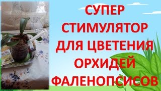 Цинния Платье принцессы 0,3г
