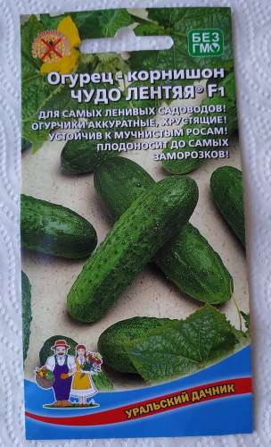 Огурец Чудо лентяя