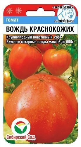Томат Вождь краснокожих 20шт