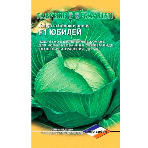 Капуста б/к Волжская лежкая 20шт