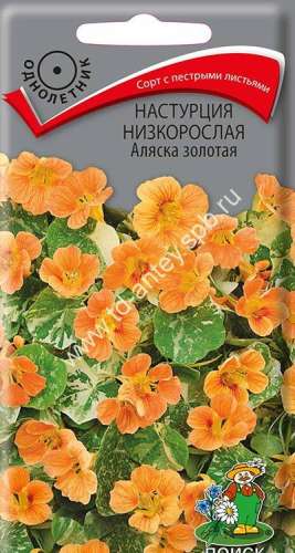 Настурция Нимфа смесь 1г