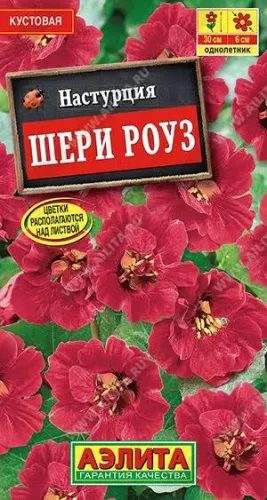 Настурция Шери Роуз