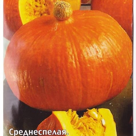 Тыква Сахарная малышка 1гр