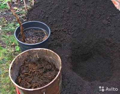 РЕФТАМИД Клещ Экстра 145мл