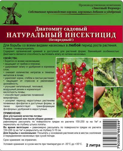 Инсайд Август 10мл