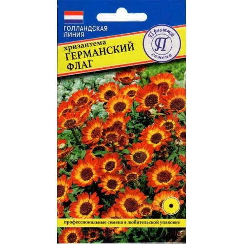 Хризантема Германский флаг 50шт