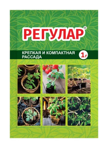 Регулар 1г