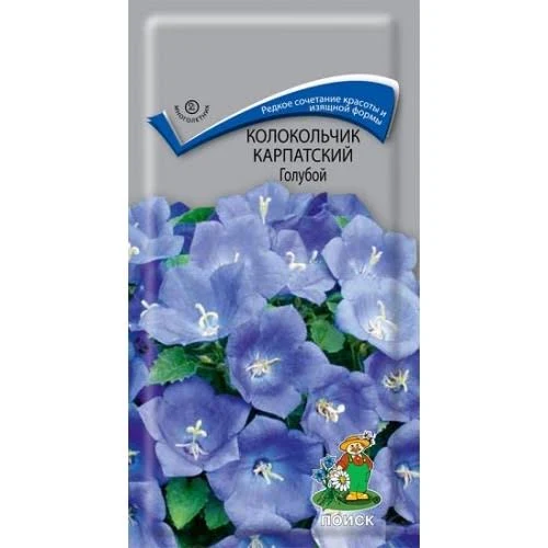Колокольчик Голубой карпатский