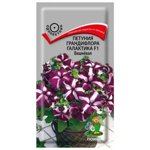 Петуния Галактика Розовая грандифлора