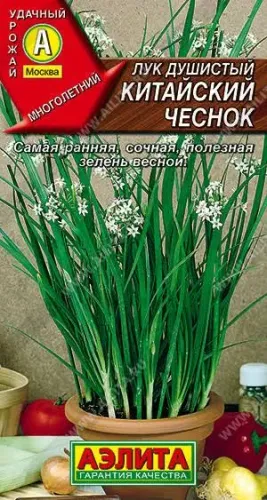 Лук душистый Пикантный 0,5гр
