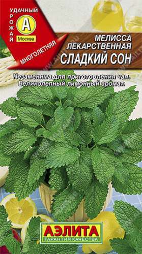 Мелисса Сладкий сон лекарственная