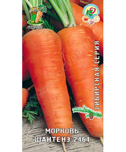 Морковь Найджел 100др