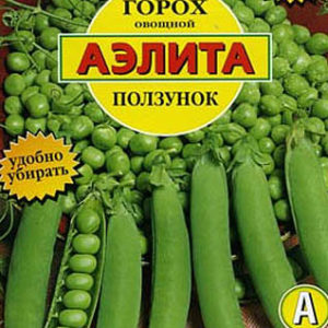Морковь Неженка 2г